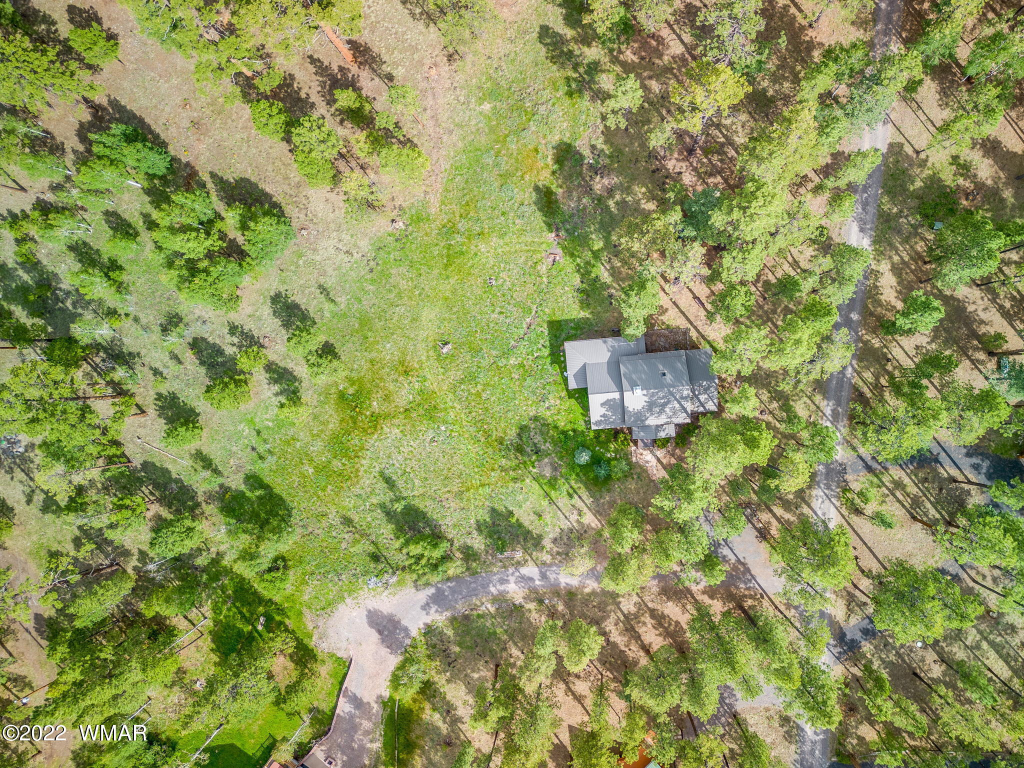 11 N1063 Greer, AZ 85927 - Photo 30 of 31 a view of a big yard with large trees
