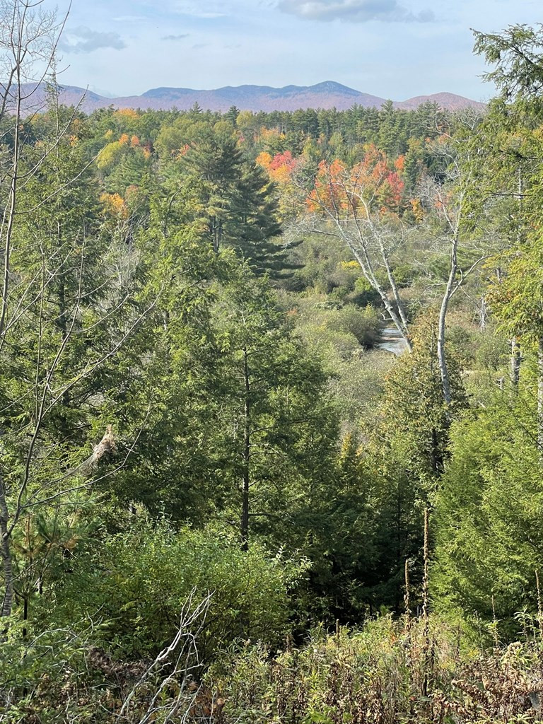 225 Redmond Road Lewis, NY 12950 - Photo 3 of 6 Gallery Image 3