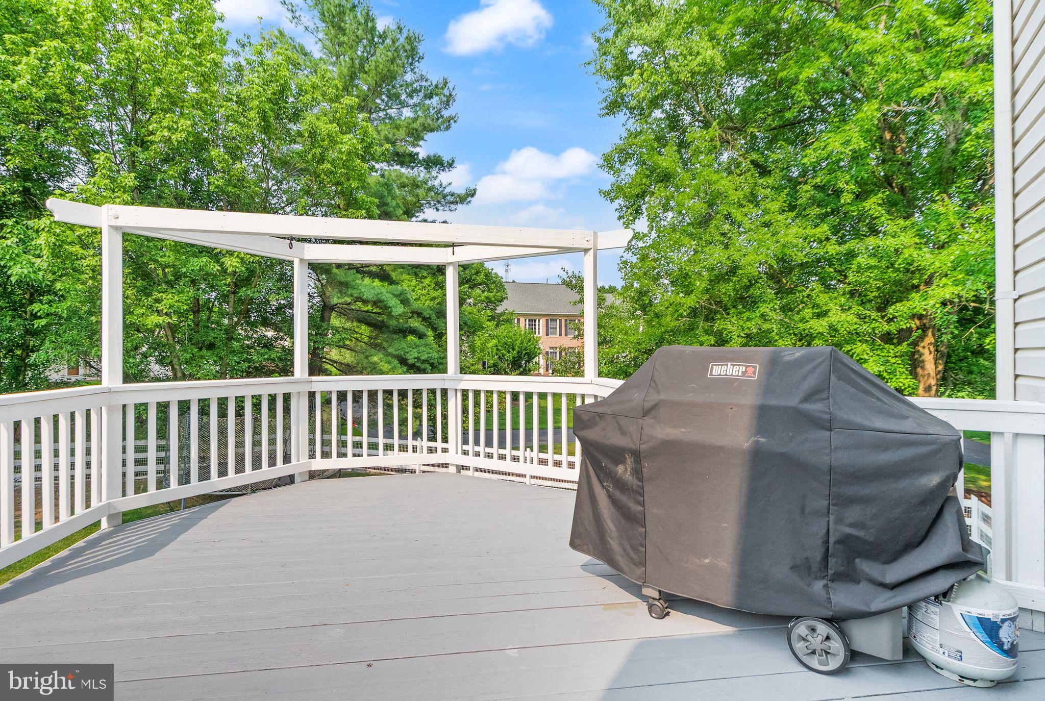 11110 Tommye Lane Reston, VA 20194 - Photo 64 of 76 Gallery Image 64