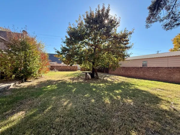 a view of a yard with an tree