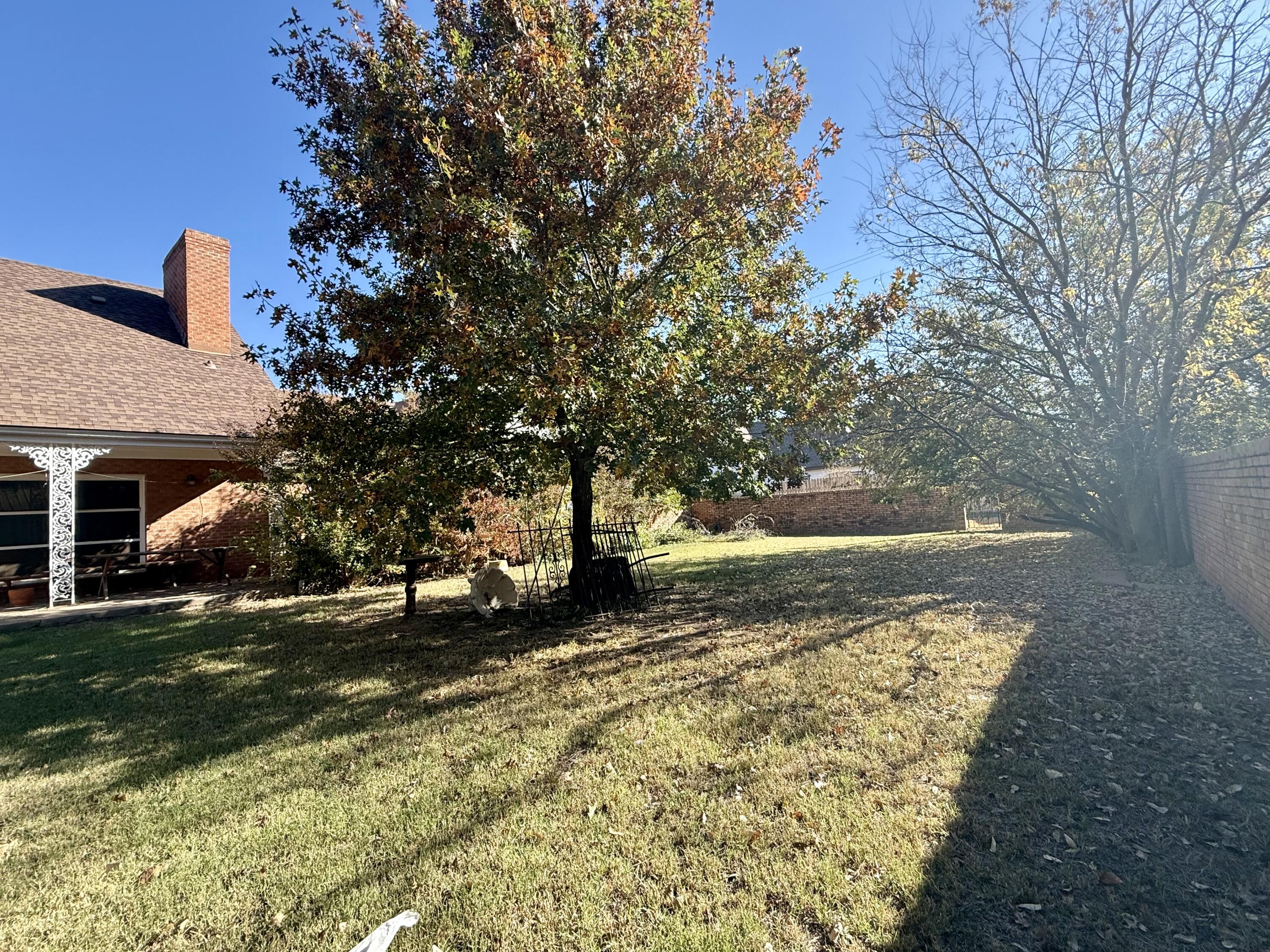 321 10th Street Memphis, TX 79245 - Photo 8 of 33 a view of a yard with an tree