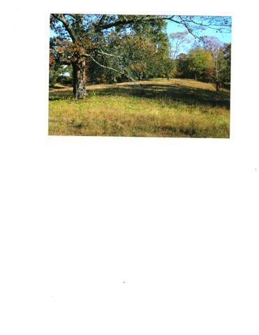 1 Brown Road Lebanon, TN 37087 - Photo 2 of 5 Huge oak tree is one of many beautiful trees.