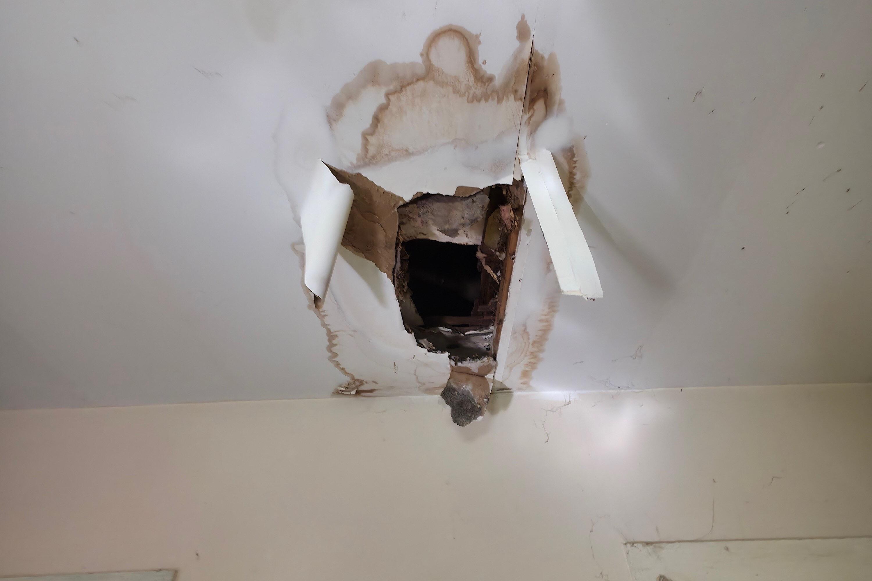 7 Forest Avenue Orono, ME 04473 - Photo 37 of 113 IMG_0475