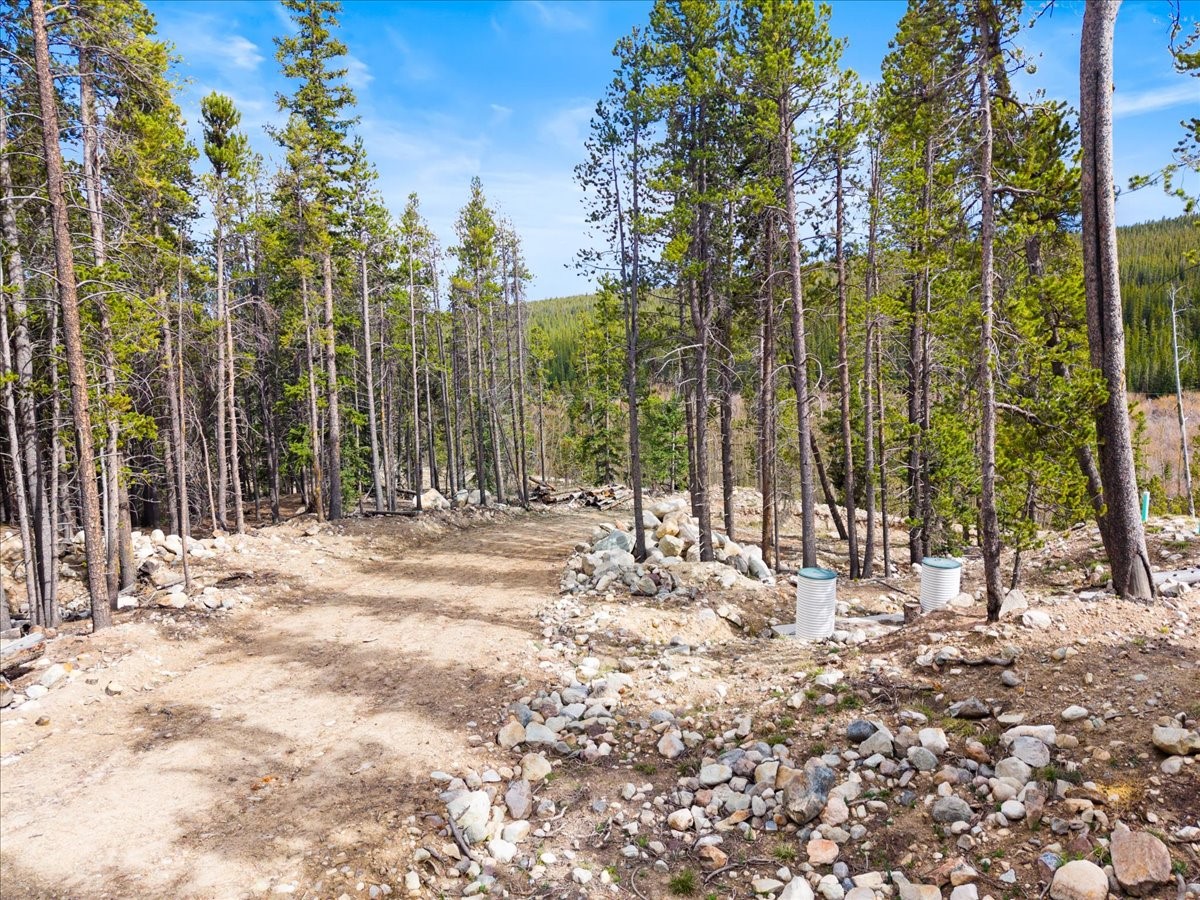 3259 Nugget Road Fairplay, CO 80440 - Photo 7 of 13
