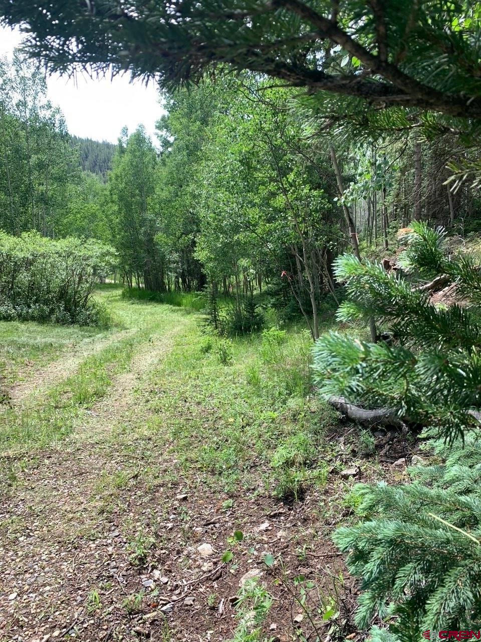 1515 Chicago Park Road Pitkin, CO 81241 - Photo 2 of 6 Gallery Image 2