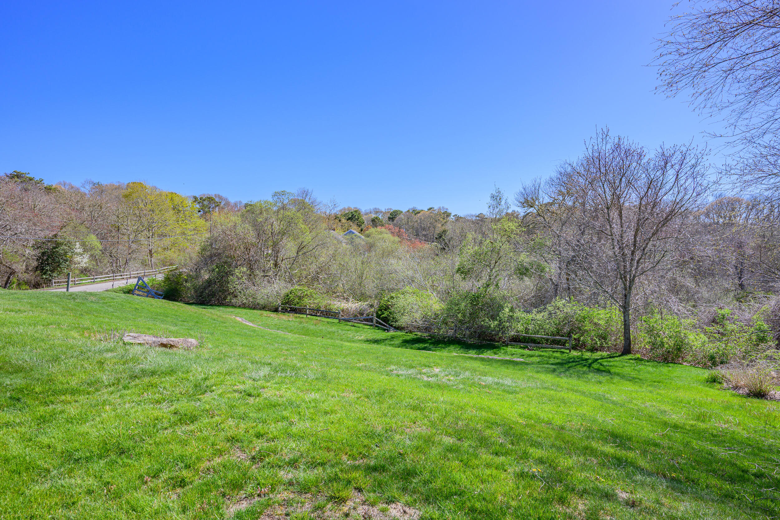 181 Elliott Road Centerville, MA 02632 - Photo 47 of 60 a view of a grassy field with trees in the background