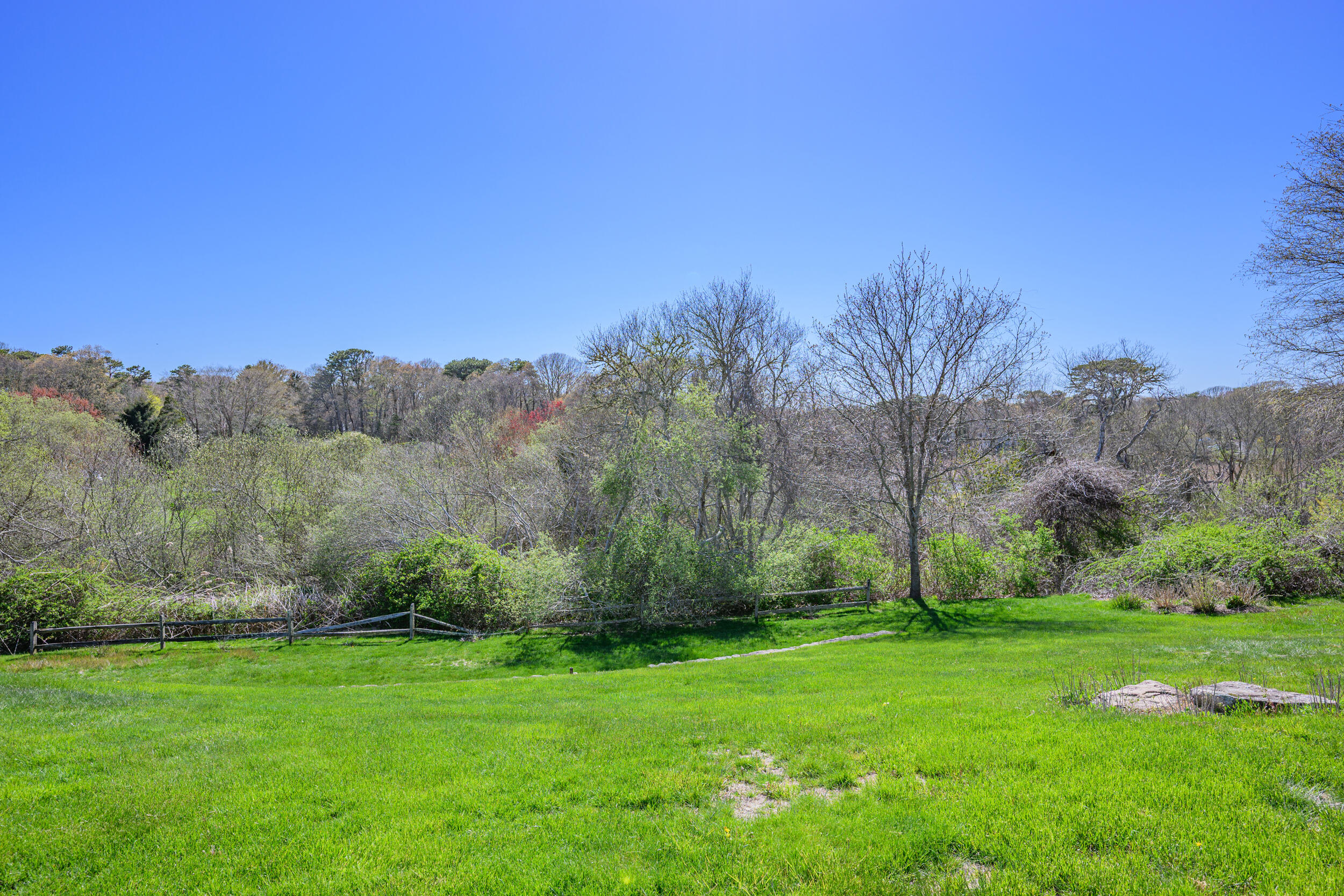 181 Elliott Road Centerville, MA 02632 - Photo 50 of 60 a view of a grassy field with trees in the background