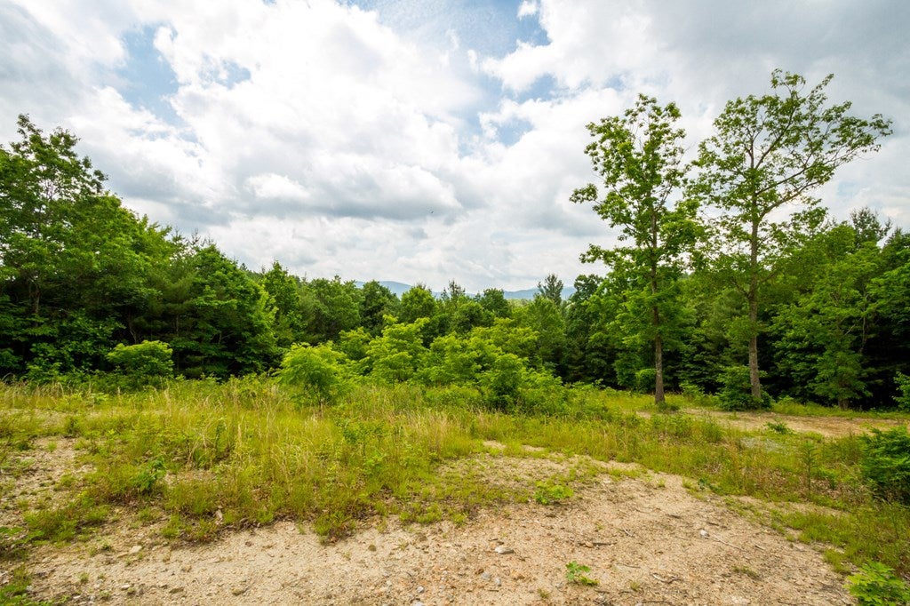 Lot 4 Gem Stream Road, Unit 4 Elk Creek, VA 24326 - Photo 14 of 33 Gallery Image 14