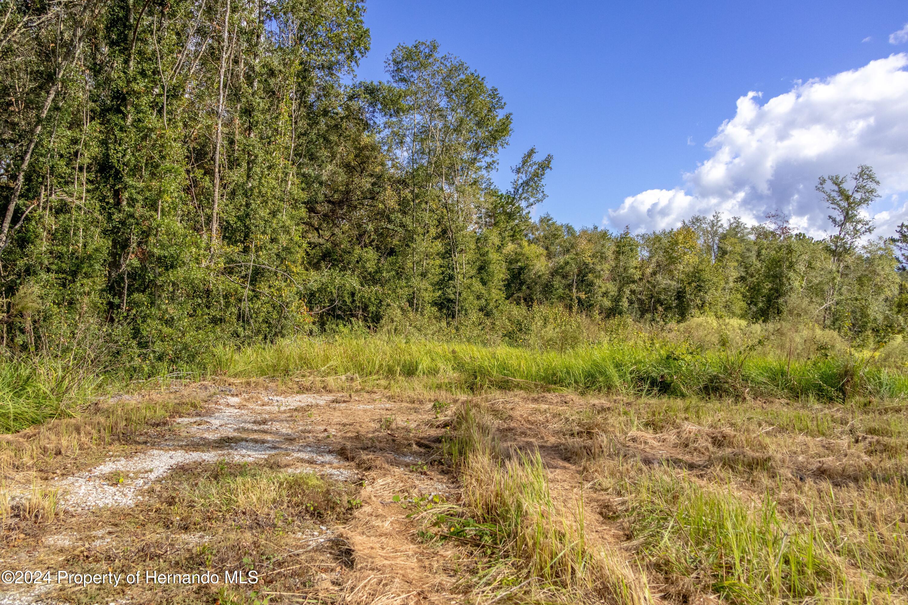 0 Saturn Road Brooksville, FL 34604 - Photo 7 of 12 a view of a lake with a yard