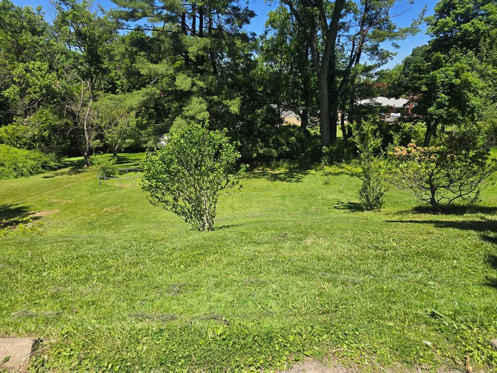 1767 Hassam Road Coraopolis, PA 15108 - Photo 2 of 23 Backyard