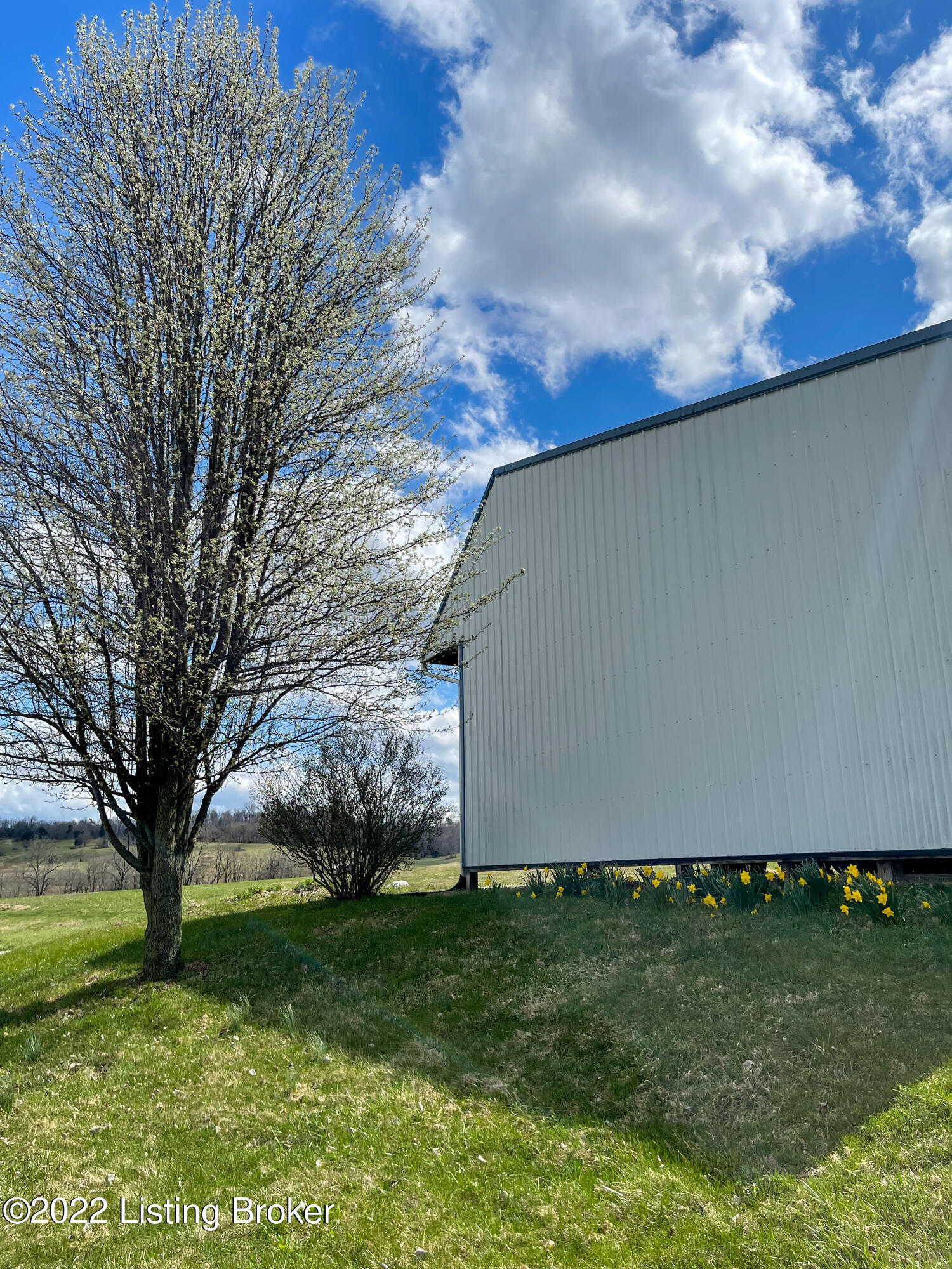3535 Sandy Hill Road Irvington, KY 40146 - Photo 10 of 83 4134F102-1747-4284-9428-3878CF485364