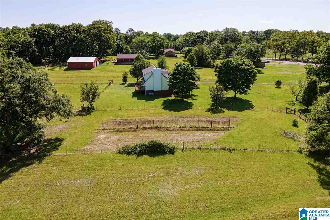 4523 Greathouse Road Dora, AL 35062 - Photo 41 of 50