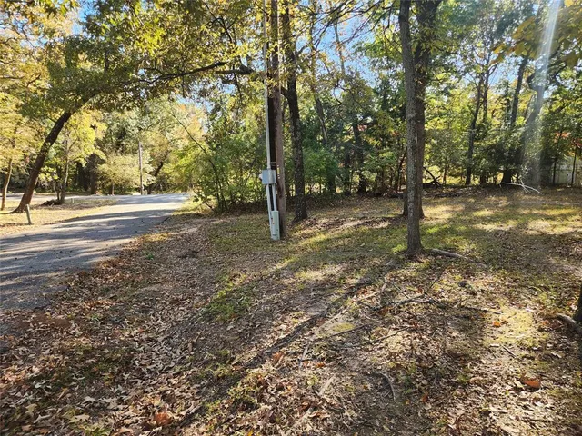 a view of a tree in the middle of a yard