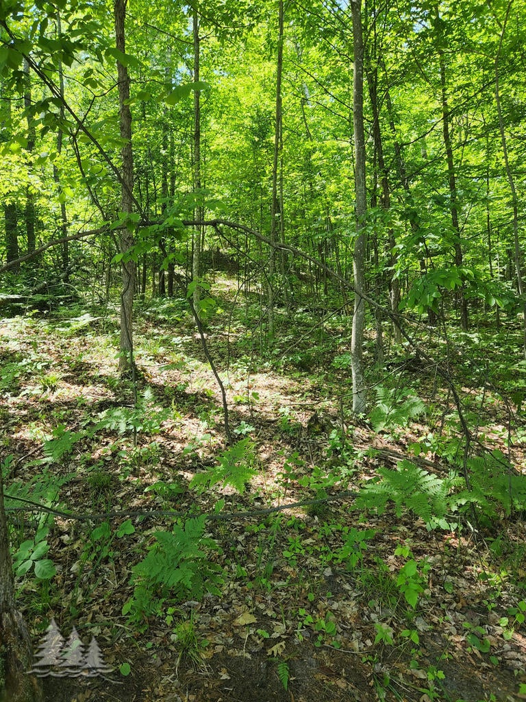 Mcintire Road Mio, MI 48647 - Photo 6 of 17 Gallery Image 6