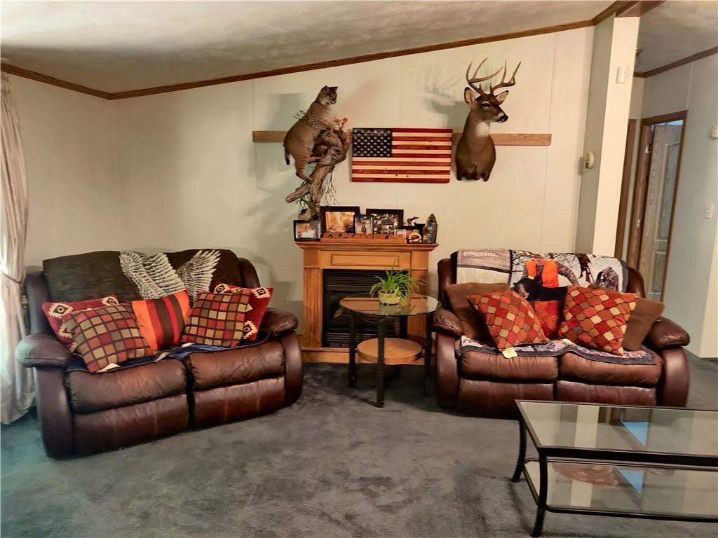 6173 Philadelphia Road Springboro, PA 16435 - Photo 13 of 25 a living room with furniture a rug and a window
