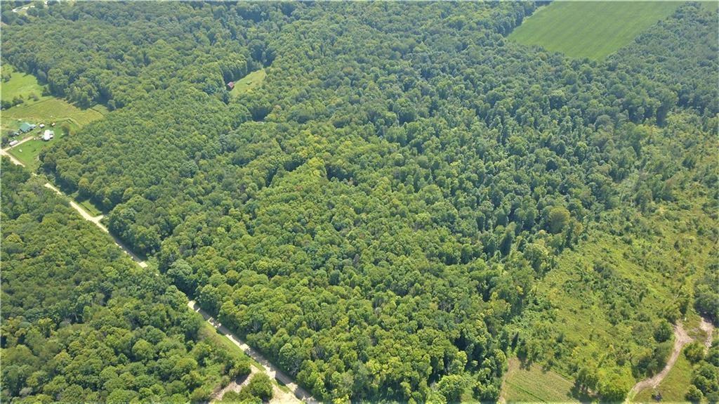6173 Philadelphia Road Springboro, PA 16435 - Photo 9 of 25 a view of a lush green forest