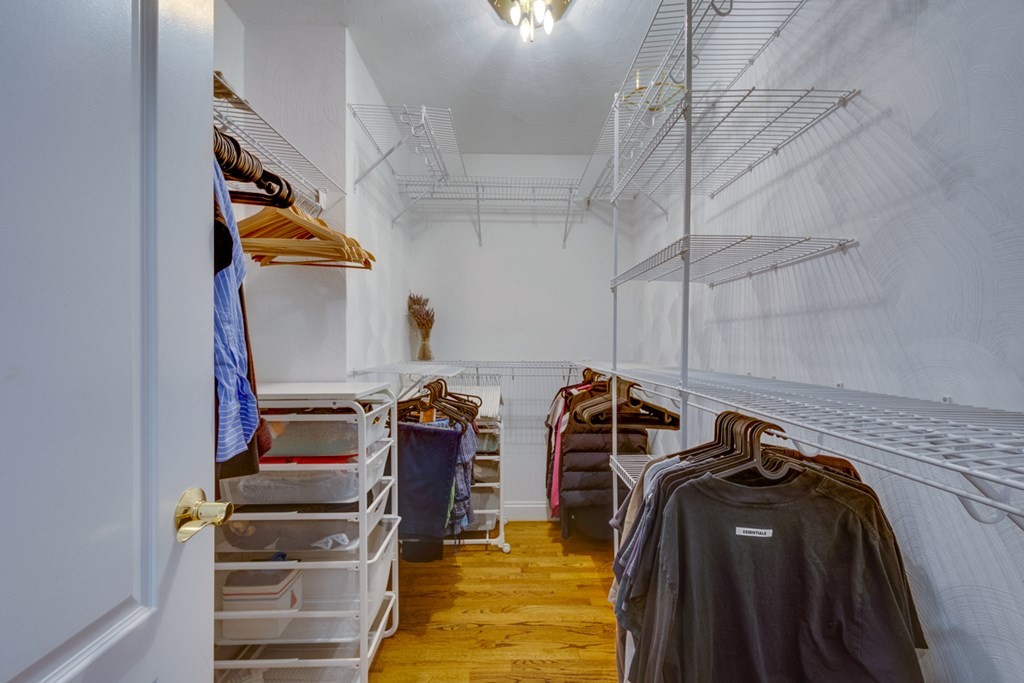 42 Star Road Newton, MA 02465 - Photo 24 of 35