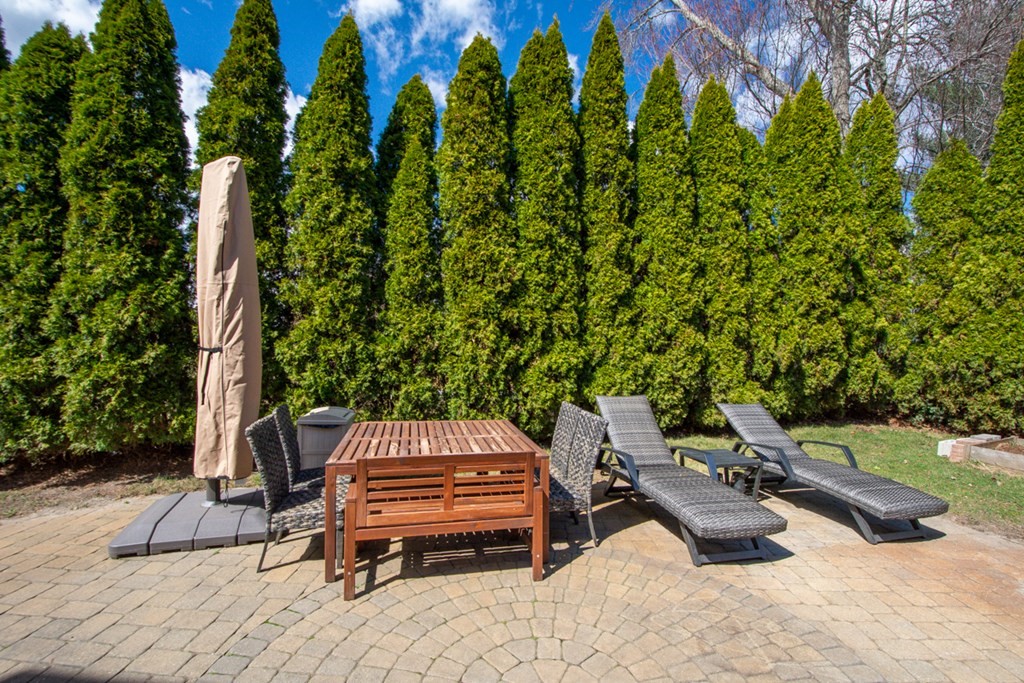 42 Star Road Newton, MA 02465 - Photo 31 of 35