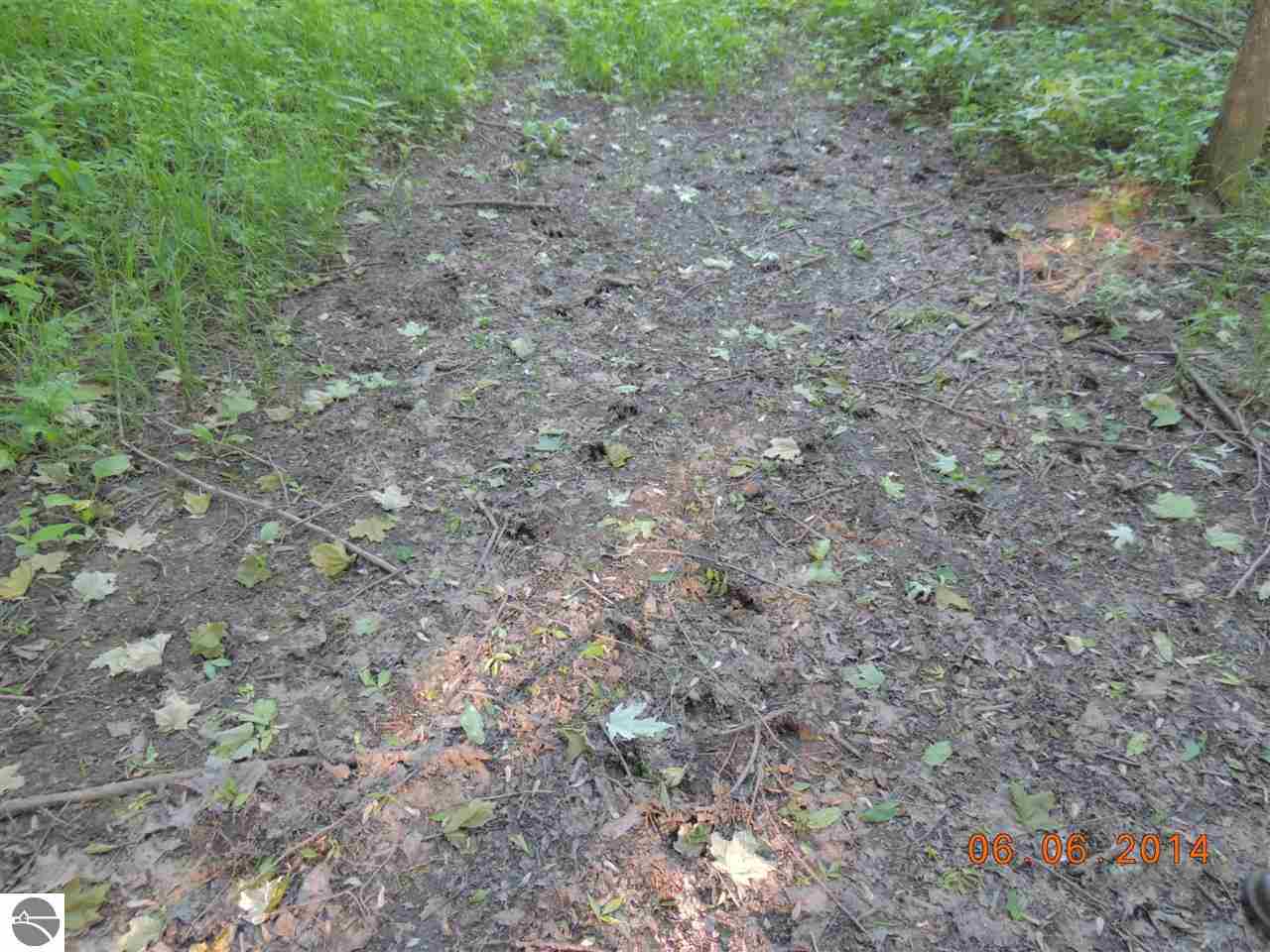 3070 South Warner Road Middleton, MI 48856 - Photo 29 of 36 1785781-28.JPG