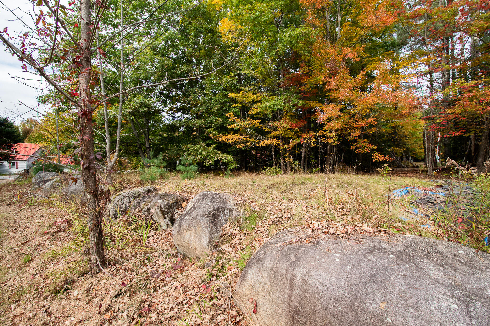 93 Stanchfield Ridge Road Milo, ME 04463 - Photo 41 of 42 DSC_0190