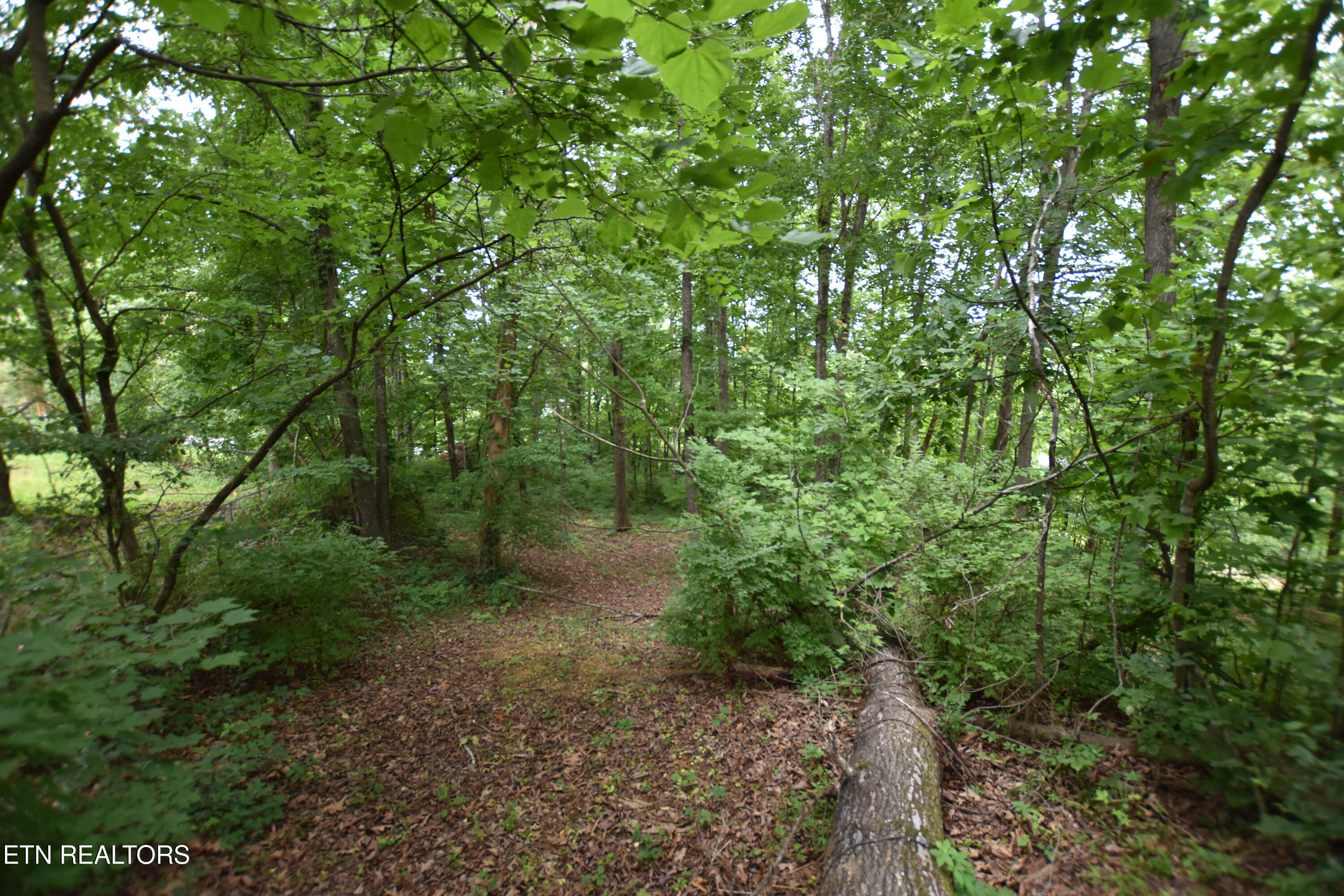 Grove Lane Clinton, TN 37716 - Photo 2 of 5 DSC_0065