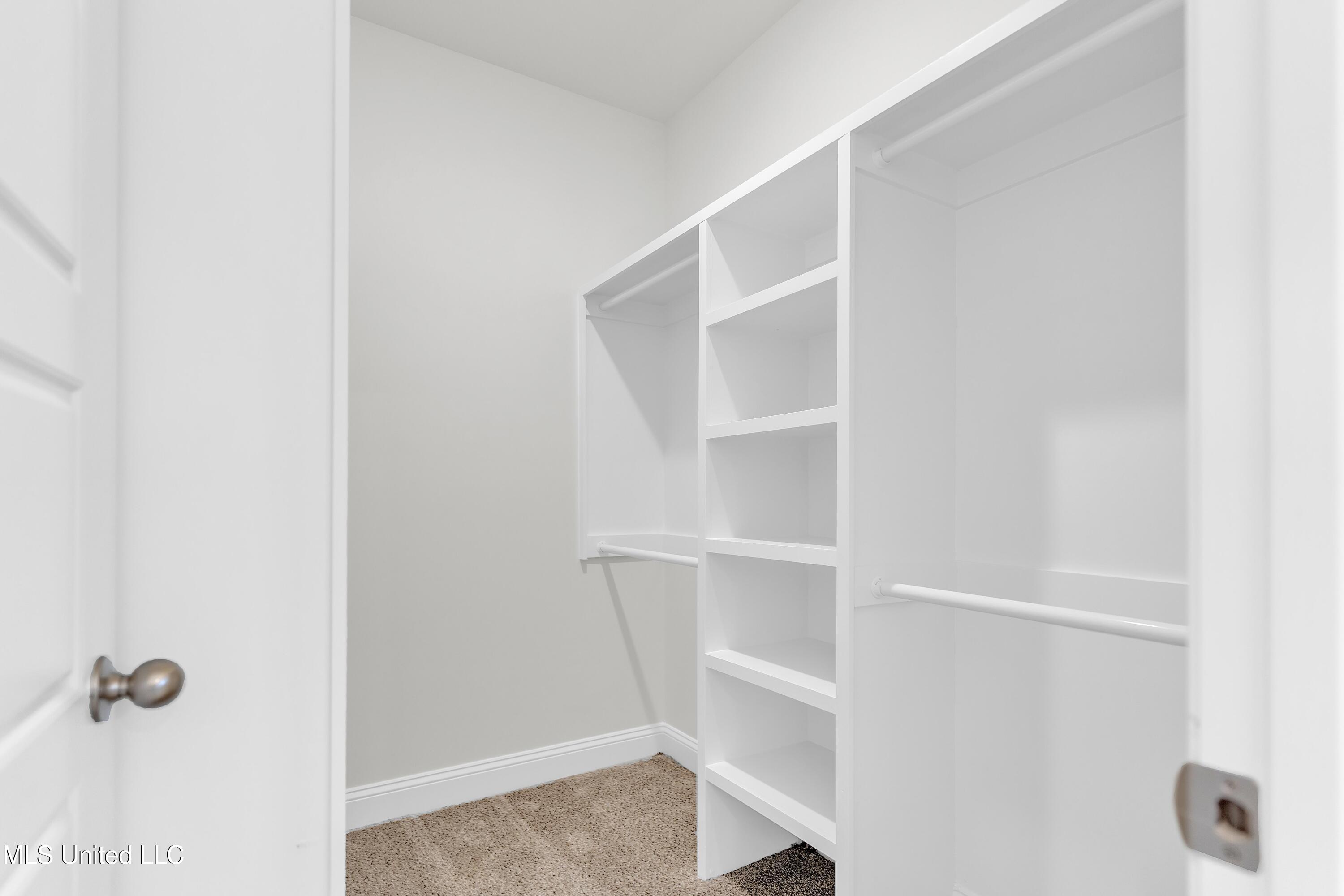 10262 March Mdws Way Olive Branch, MS 38654 - Photo 13 of 18 Primary Closet