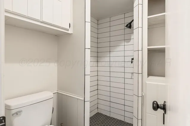a bathroom with a shower and toilet