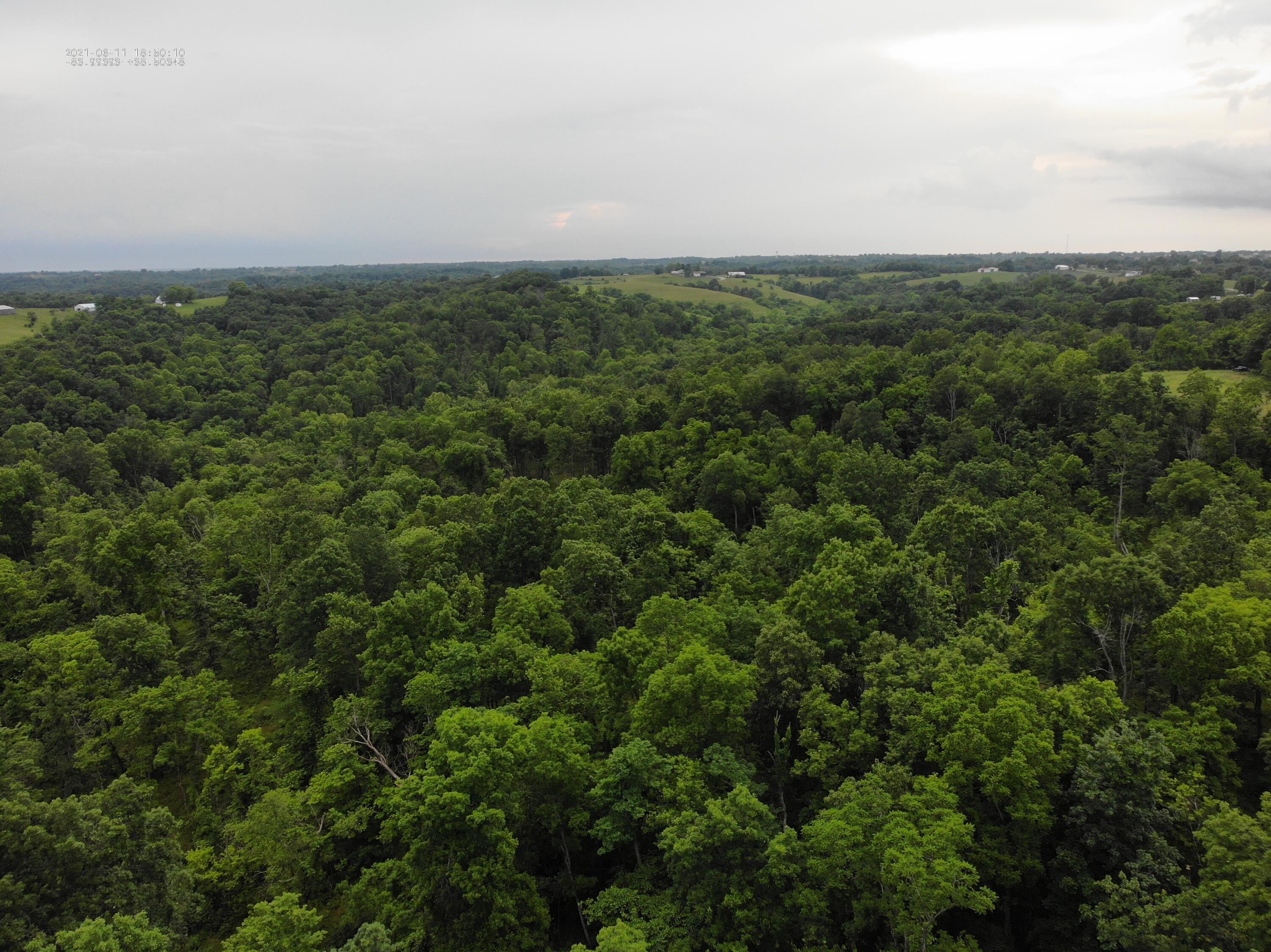 0 Ogden Ridge Road Mount Olivet, KY 41064 - Photo 3 of 3 DJI_0151