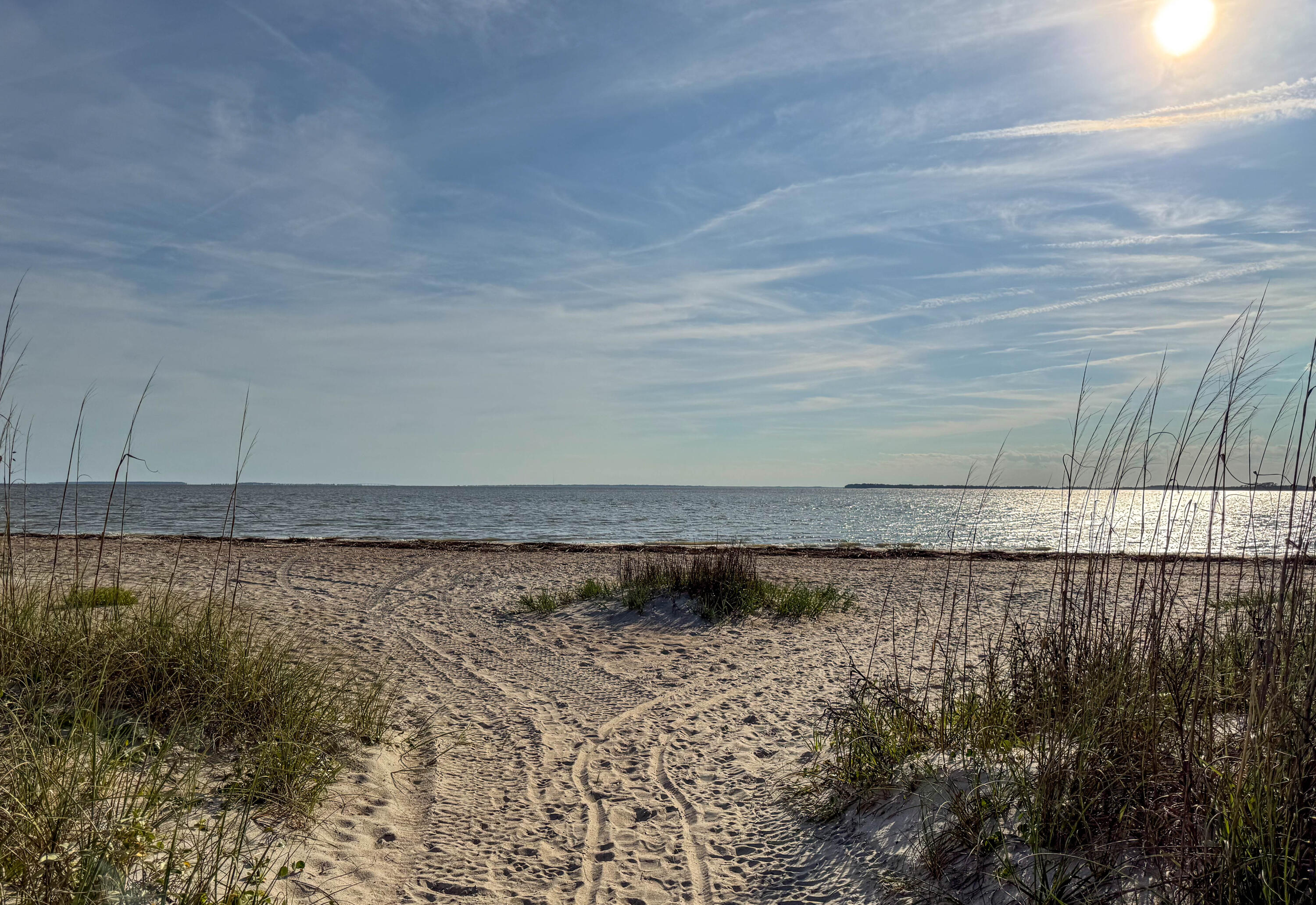 3303 Fort Street Edisto Island, SC 29438 - Photo 9 of 27 Fort-Lot-32