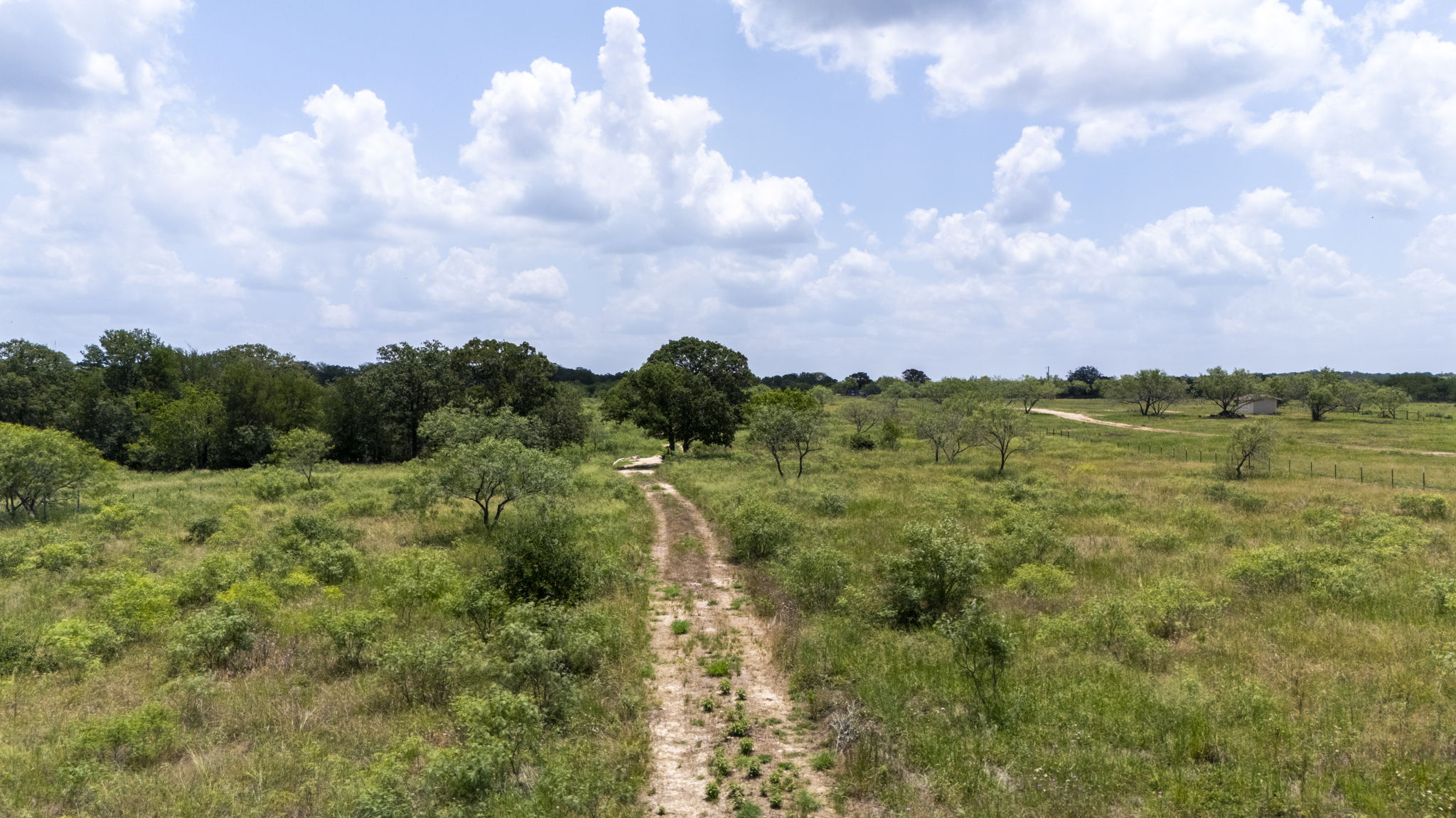 401 Turnback Trail Dale, TX 78616 - Photo 30 of 34 a view of a green field with lots of bushes