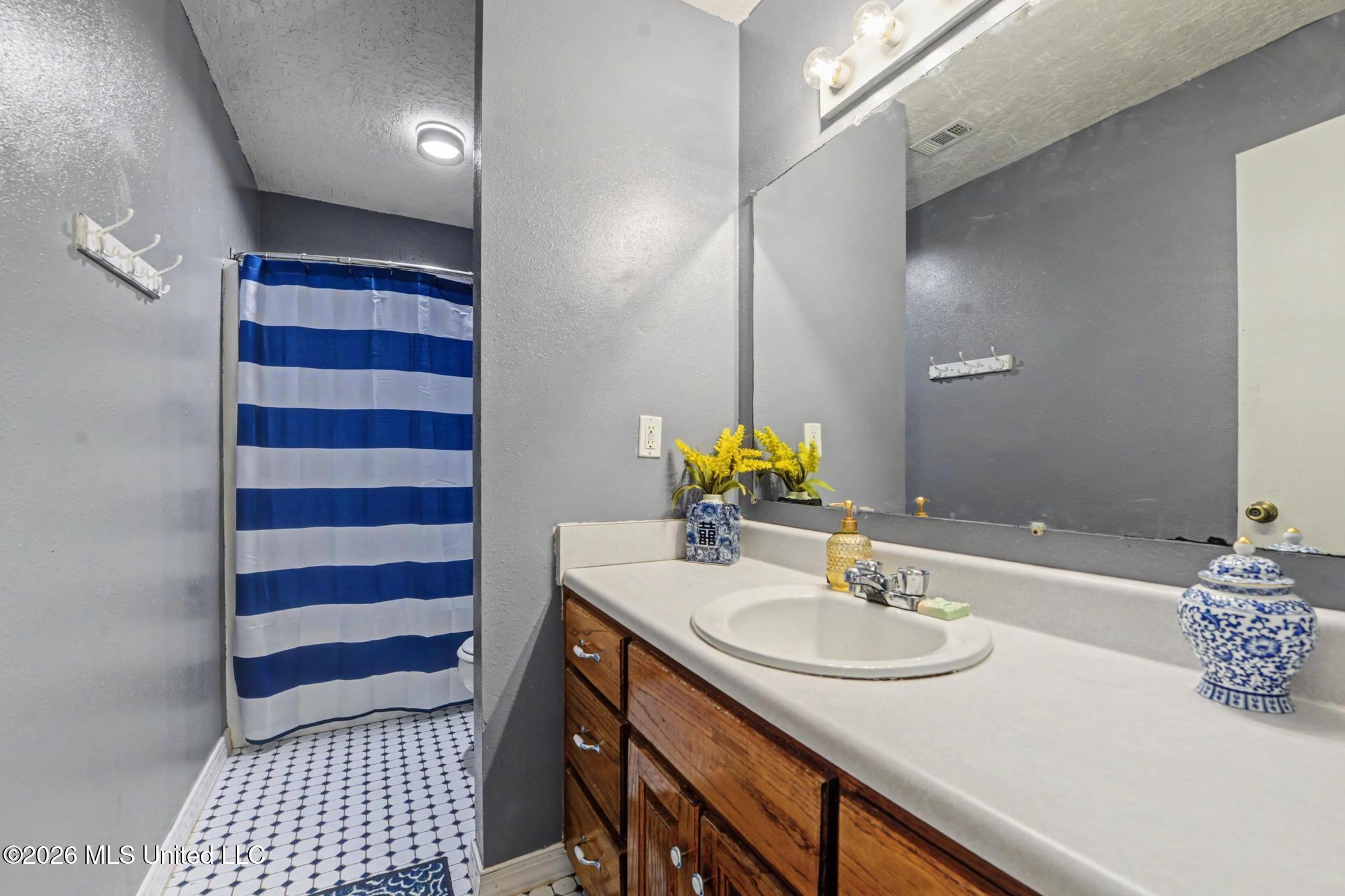 3282 Dean Nursery Road Lucedale, MS 39452 - Photo 13 of 25 Master bath