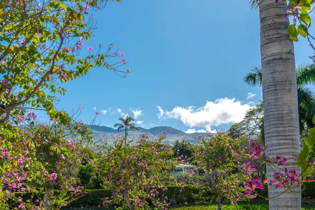 a dining room with furniture and a window