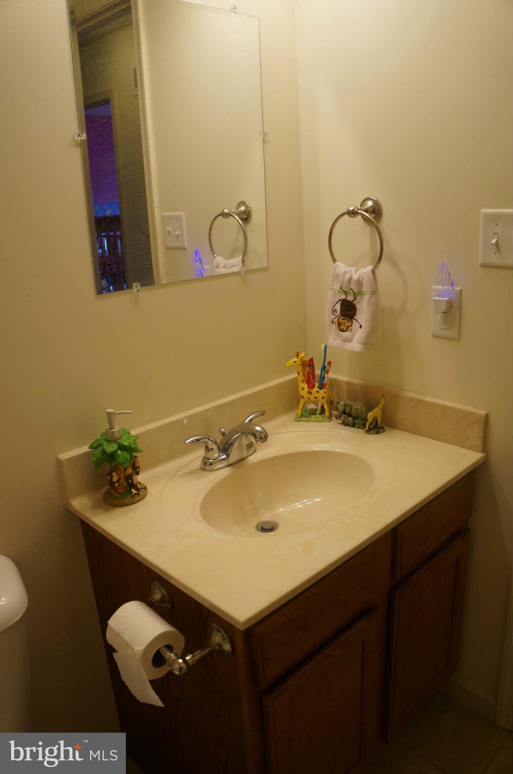 25252 Military Road Cascade, MD 21719 - Photo 14 of 26 a bathroom with a sink vanity and a mirror