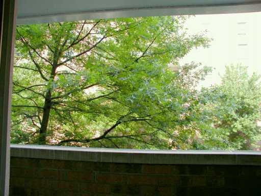 302 Fox Chapel Road, Unit 213 Pittsburgh, PA 15238 - Photo 2 of 7 Other.
