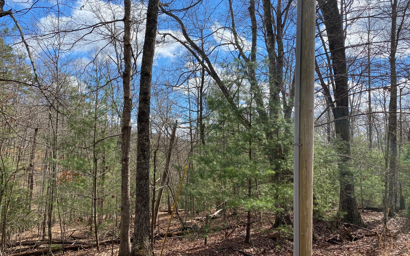 Goldmine Road Morganton, GA 30560 - Photo 2 of 4 Additional View