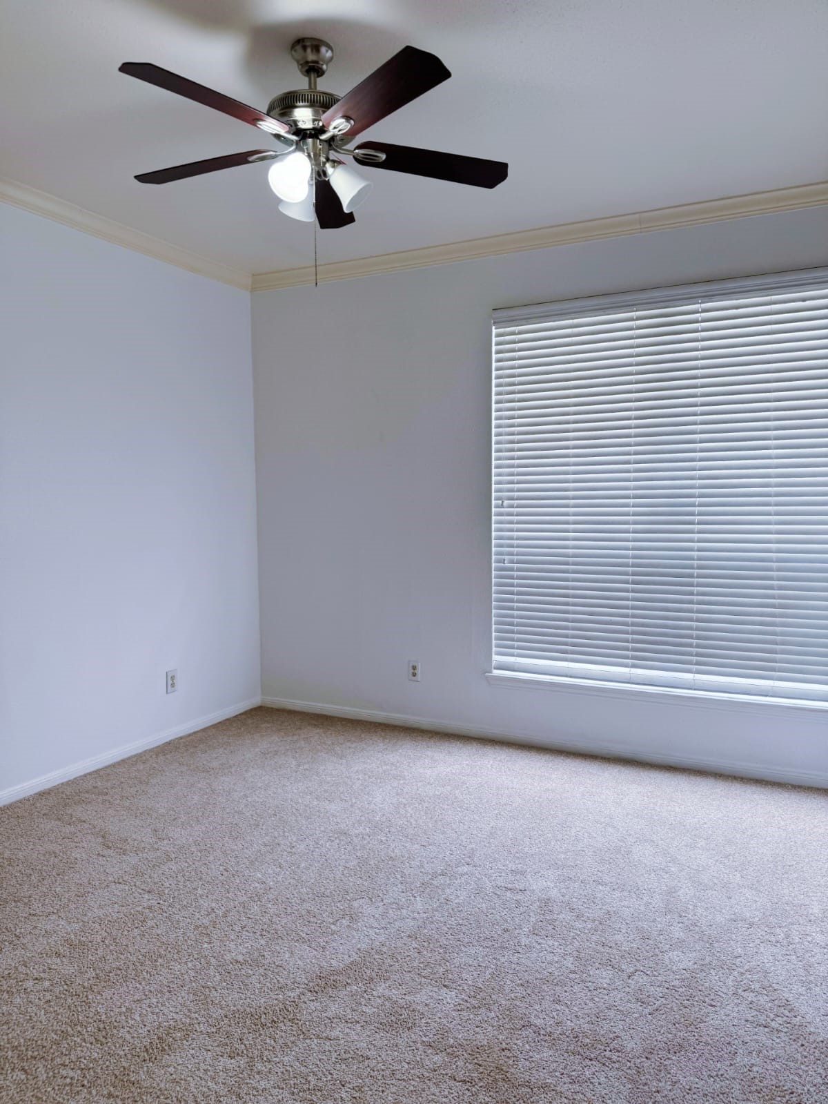 2121 El Paseo Street, Unit 1801 Houston, TX 77054 - Photo 2 of 12 a view of a big room with carpet