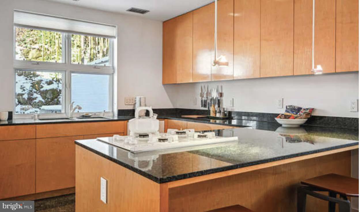 4527 Q Place Northwest Washington, DC 20007 - Photo 29 of 54 a kitchen with stainless steel appliances granite countertop a sink a stove and a counter space