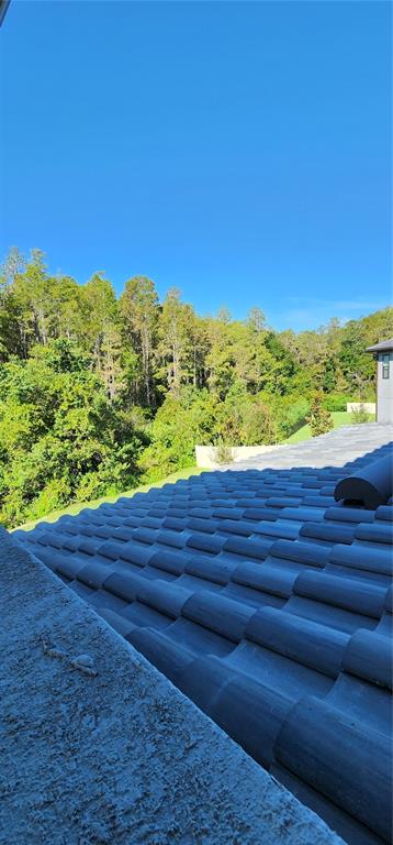 29868 Picana Lane Wesley Chapel, FL 33543 - Photo 15 of 75 a view of a yard with an ocean view