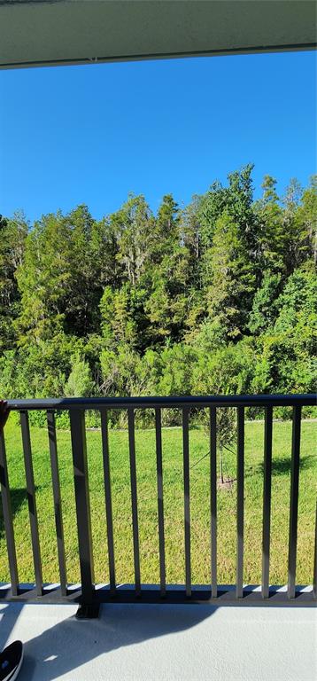 29868 Picana Lane Wesley Chapel, FL 33543 - Photo 16 of 75