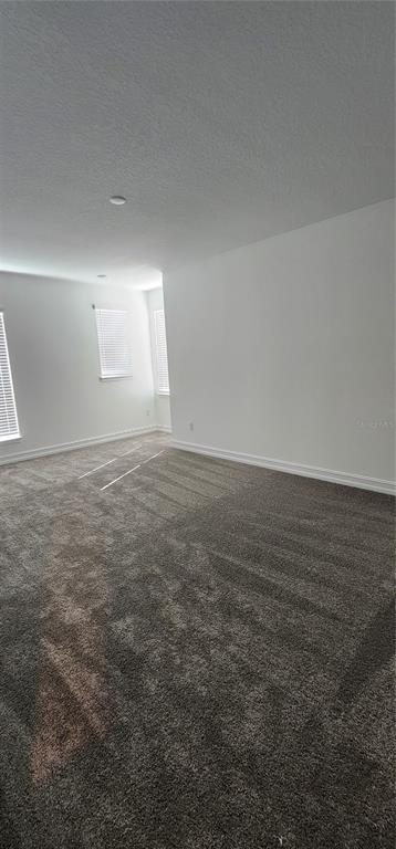 29868 Picana Lane Wesley Chapel, FL 33543 - Photo 38 of 75