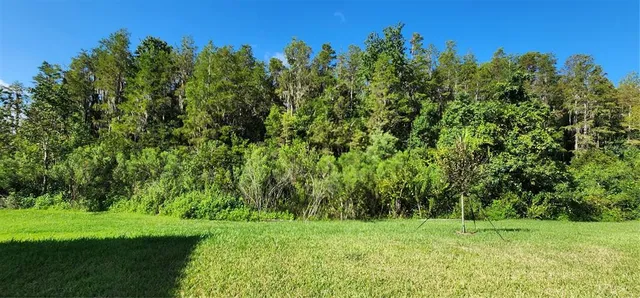 $6,800 | 29868 Picana Lane, Wesley Chapel, FL 33543