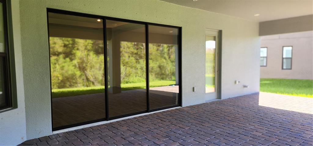 29868 Picana Lane Wesley Chapel, FL 33543 - Photo 56 of 75 a view of an empty room and window