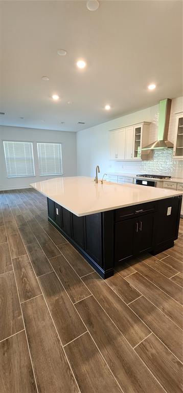 29868 Picana Lane Wesley Chapel, FL 33543 - Photo 7 of 75 a room with kitchen island granite countertop a sink and cabinets