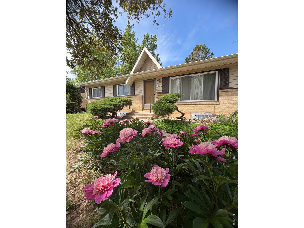 1041 Montview Road Fort Collins, CO 80521 - Photo 1 of 42
