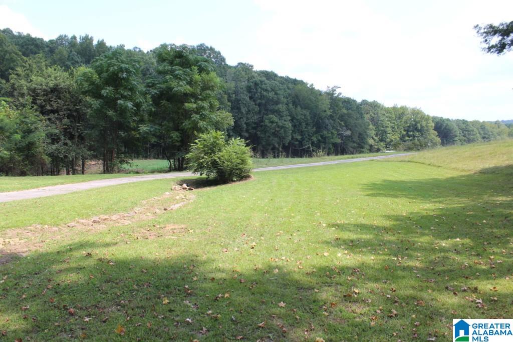 3201 Crawford Cove Road Springville, AL 35146 - Photo 6 of 40