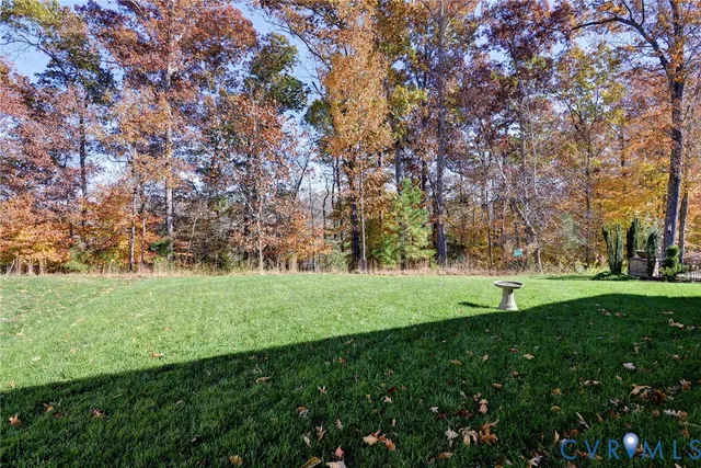 a view of field with trees
