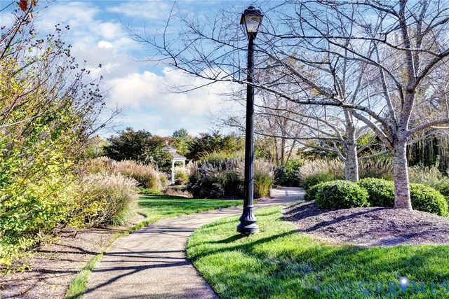 a view of a garden with a tree