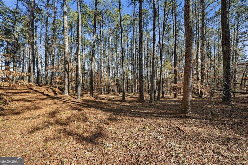 428 Cedarcrest Road Dallas, GA 30132 - Photo 1 of 1 Gallery Image 1