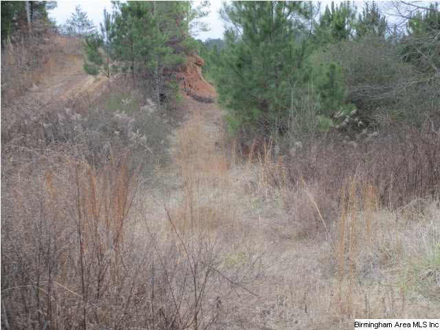 2061 Creel Road Morris, AL 35116 - Photo 1 of 6