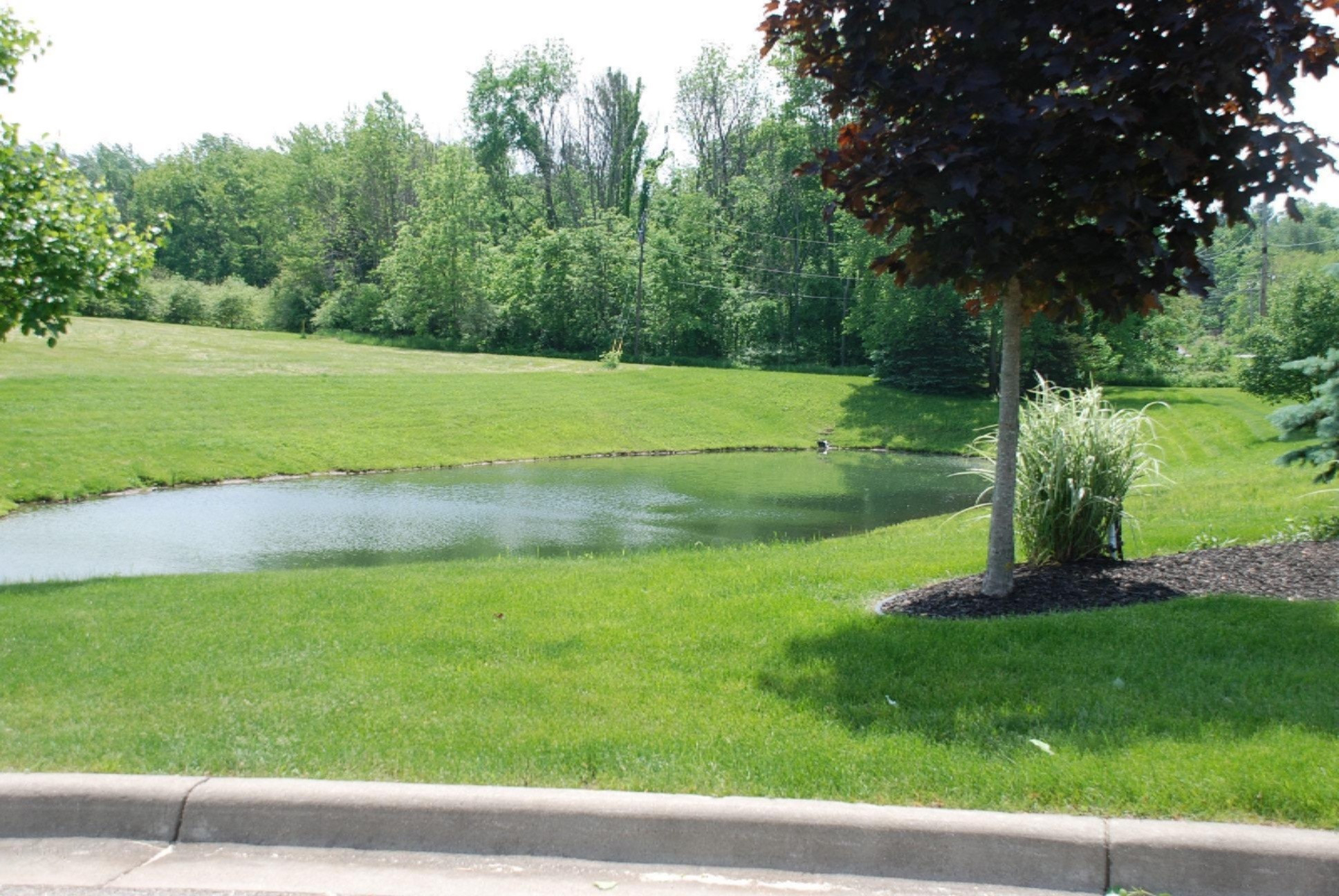 1764 Fox Ridge Trail St. Joseph, MI 49085 - Photo 3 of 5 DSC_1240